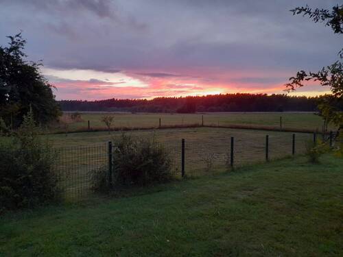 Sonnenuntergang mit Blick auf den Darßwald - 