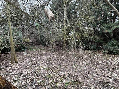 Garten - 