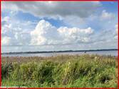 Schlei-Impressionen - 