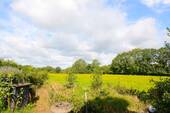 Ausblick - 