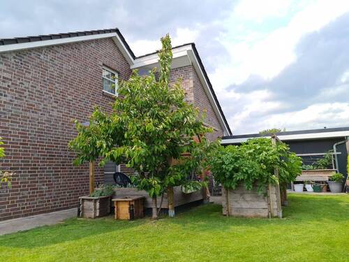 Seitenansicht - 3 Zimmer Mehrfamilienhaus, Wohnhaus in Ovelgönne