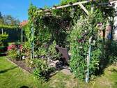 Weinlaube im Garten - 