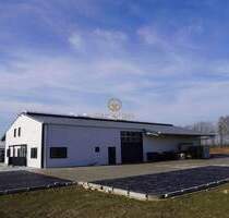 Top Gewerbehalle, neuester Standard, sehr gute Lage - perfekt für Ihr Unternehmen! - Walsrode