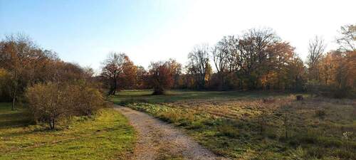 Wiesengrund direkt unterhalb - 