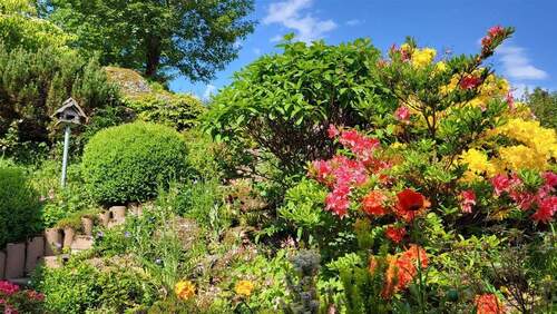 Blick in den Garten - 