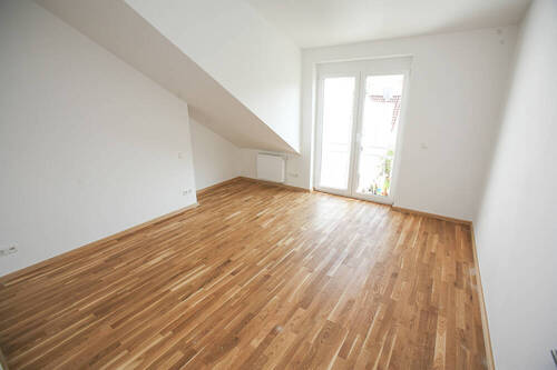 Zimmer DG - 