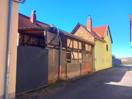 IMG-20250320-WA0001.jpg - 