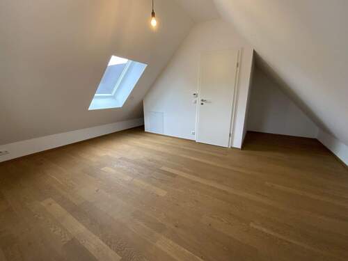 Zimmer DG - 