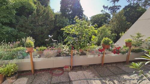 2 Terrasse (3).jpg - 