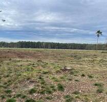 Wohnen im Stadtteil Sielow - 93.950,00&nbsp;EUR Kaufpreis, ca.&nbsp; 0,00&nbsp;m&sup2; in Cottbus (PLZ: 03055) Sielow