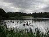 Der See.jpg - 