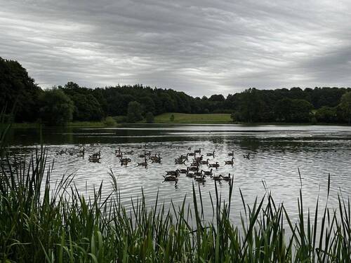 Der See.jpg - 