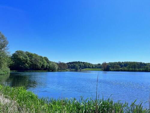 Den See im Blick.jpg - 