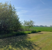 Sonnewalde ruft – Baugrundstück in ruhiger Wohnlage