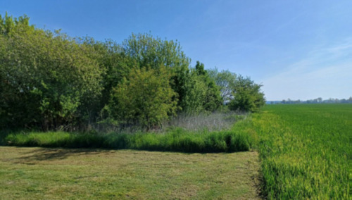 Bild2.png - Grundstück zum Kaufen in Sonnewalde