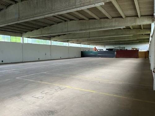 image5 - 