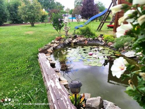 Garten - Teich - 