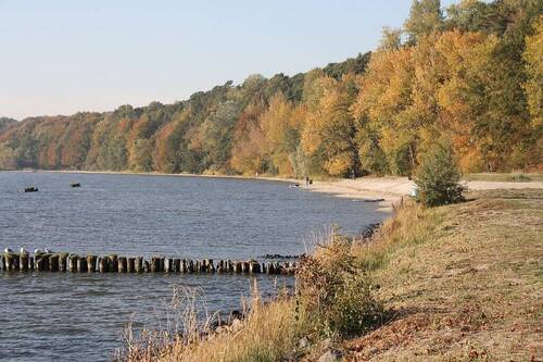 Kamminke-Strand.JPG - 