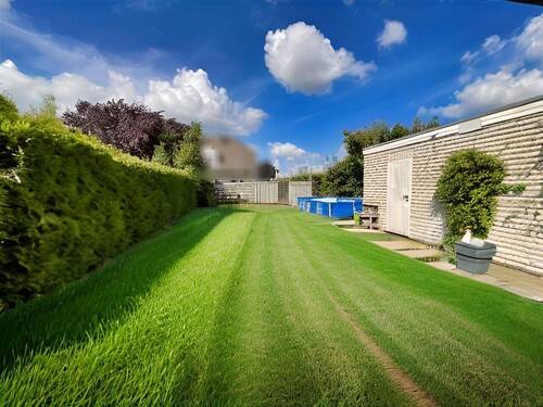 Blick in den Garten - 