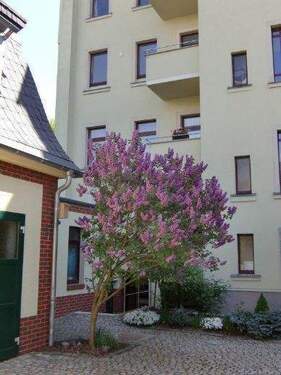 Innenhof - 