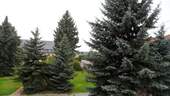 Ausblick - 