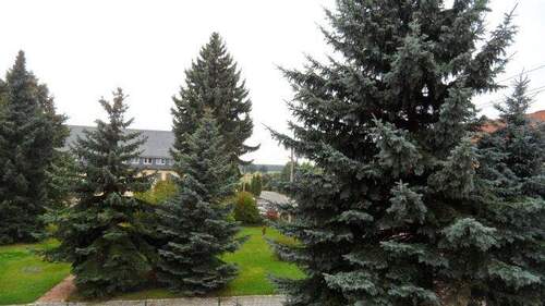 Ausblick - 