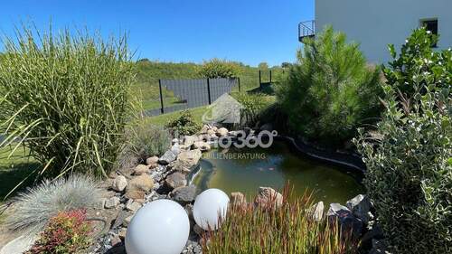 kleiner Teich / Garten - 