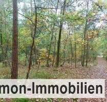 Waldfläche ca. 15.660 m² Waldgrundstück Mischwald am Dorfrand - Sprakensehl Bokel