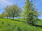 Umgebung - 