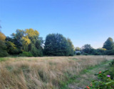 Naturschutzgebiet - andere Straßenseite - 