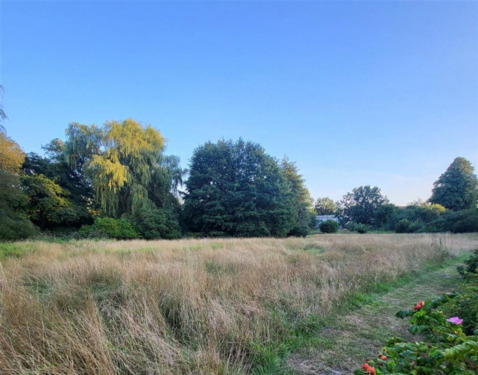 Naturschutzgebiet - andere Straßenseite - 