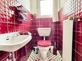 Tageslicht Gäste-WC (OG) - 