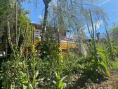 Garten_6.JPEG - 