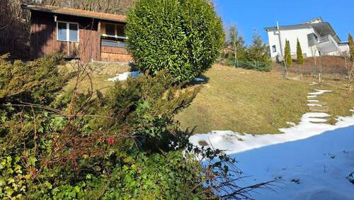 Garten mit Gartenhaus - 