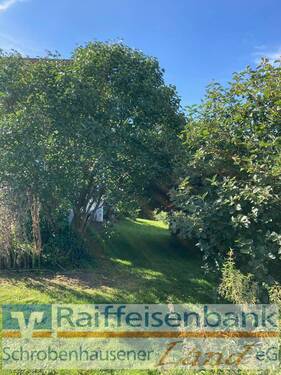 Garten - 