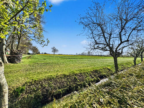 Blick auf die Weide - 