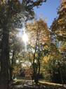 Blick von der Wohnung aus! - 