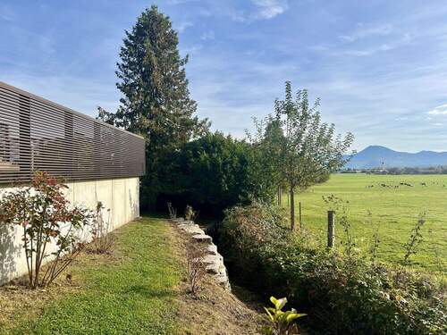 Bachlauf - 