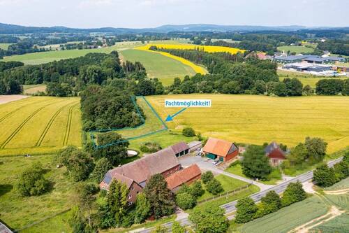 Pachtmöglichkeit - Mehrfamilienhaus, Wohnhaus mit 340,00 m&sup2; in Werther zum Kaufen