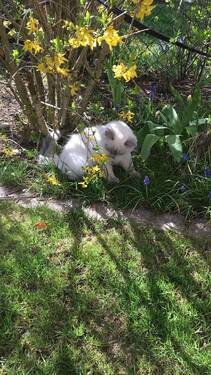 STXV6057 - Großes Grundstück für ein Einfamilienhaus