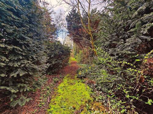 Weg zum hinteren Gartenbereich - 