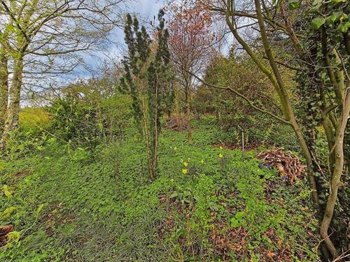 Hinterer Gartenbereich - 