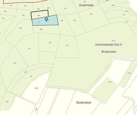 Flur 402 und 407 - Grundstück in Immendingen