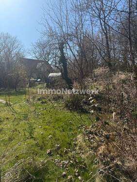 Bild 1 - Rarität in Potsdam-Bornstedt - Phantastisches Grundstück in Bestlage