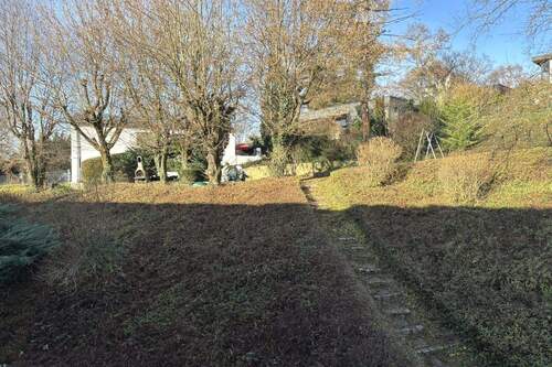 gemeinschaftlicher Garten - 