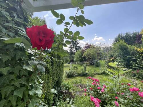 Garten_www.villingen.immobilien - 