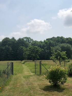 Blick zur Wiese.jpg - Mehrfamilienhaus, Wohnhaus mit 165,00 m² in Putlitz zum Kaufen