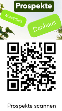 QR Code - 