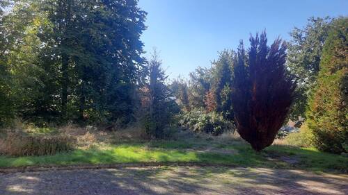 Baugrundstück in Waldbröl - Großes und schönes Baugrundstück oberhalb des Stadtzentrums von Waldbröl