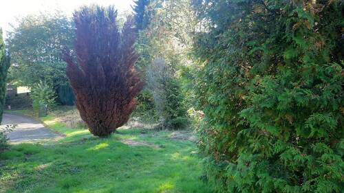 Seitenansicht - Grundstück in Waldbröl zum Kaufen